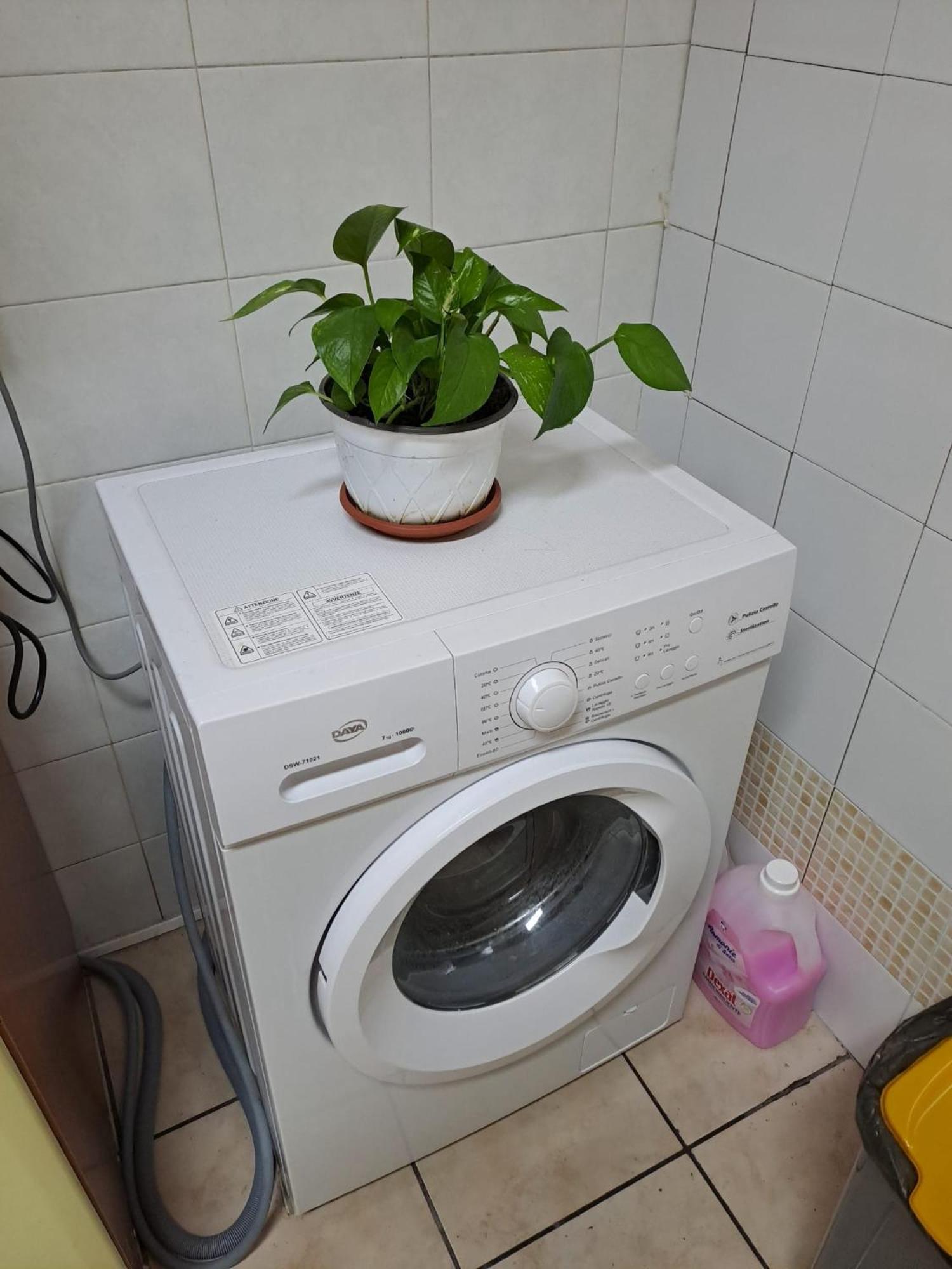 B&B Domus Pina Catania Exterior photo